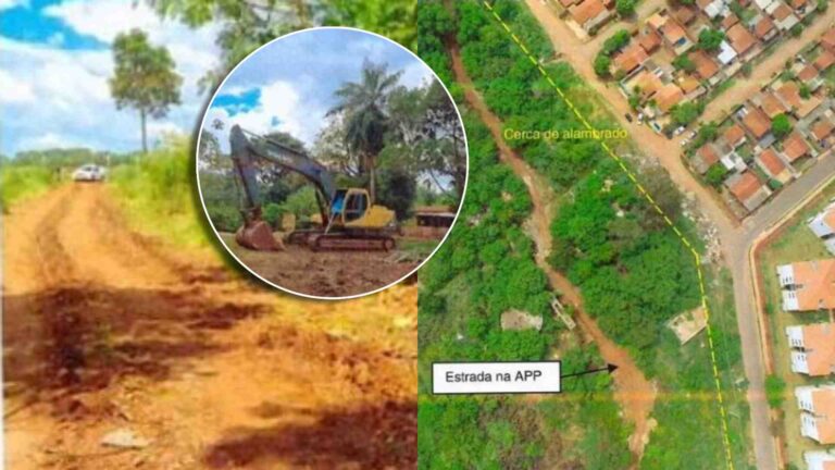 Construtora comete crimes ambientais