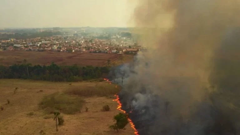 pantanal pega fogo com novos focos de incendio e queimadas