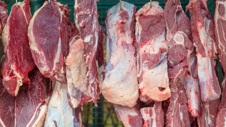 exportação de carne bate recorde
