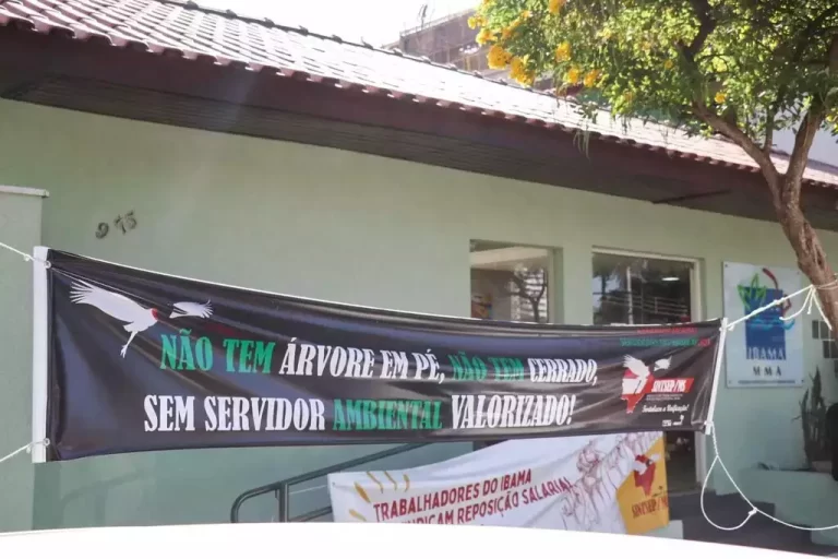 Greve do Ibama suspensa