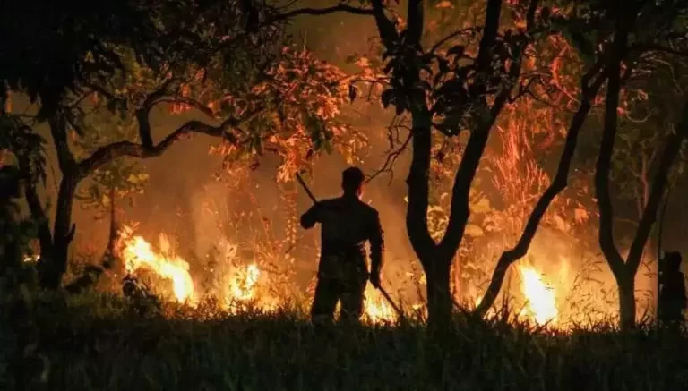 Campanha contra queimadas no Pantanal